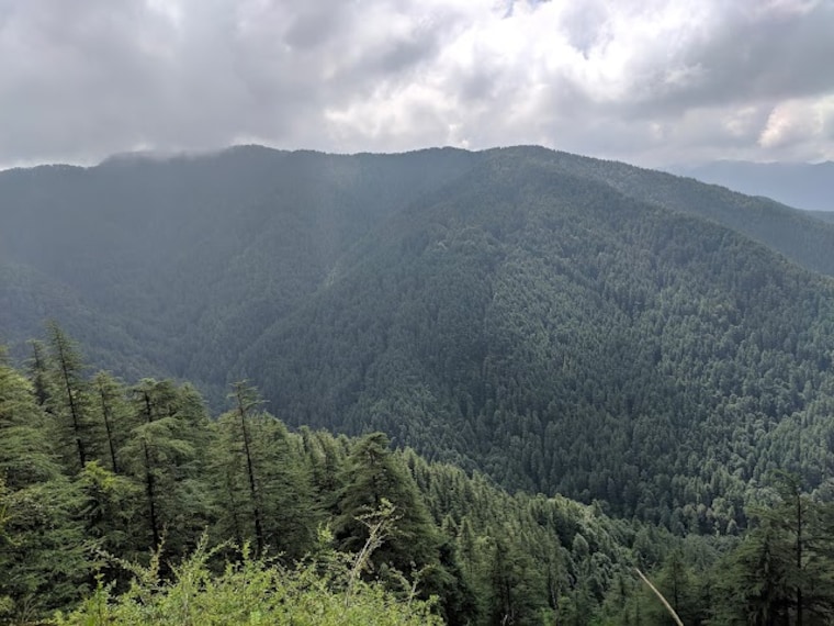 Shimla Reserve Forest_1